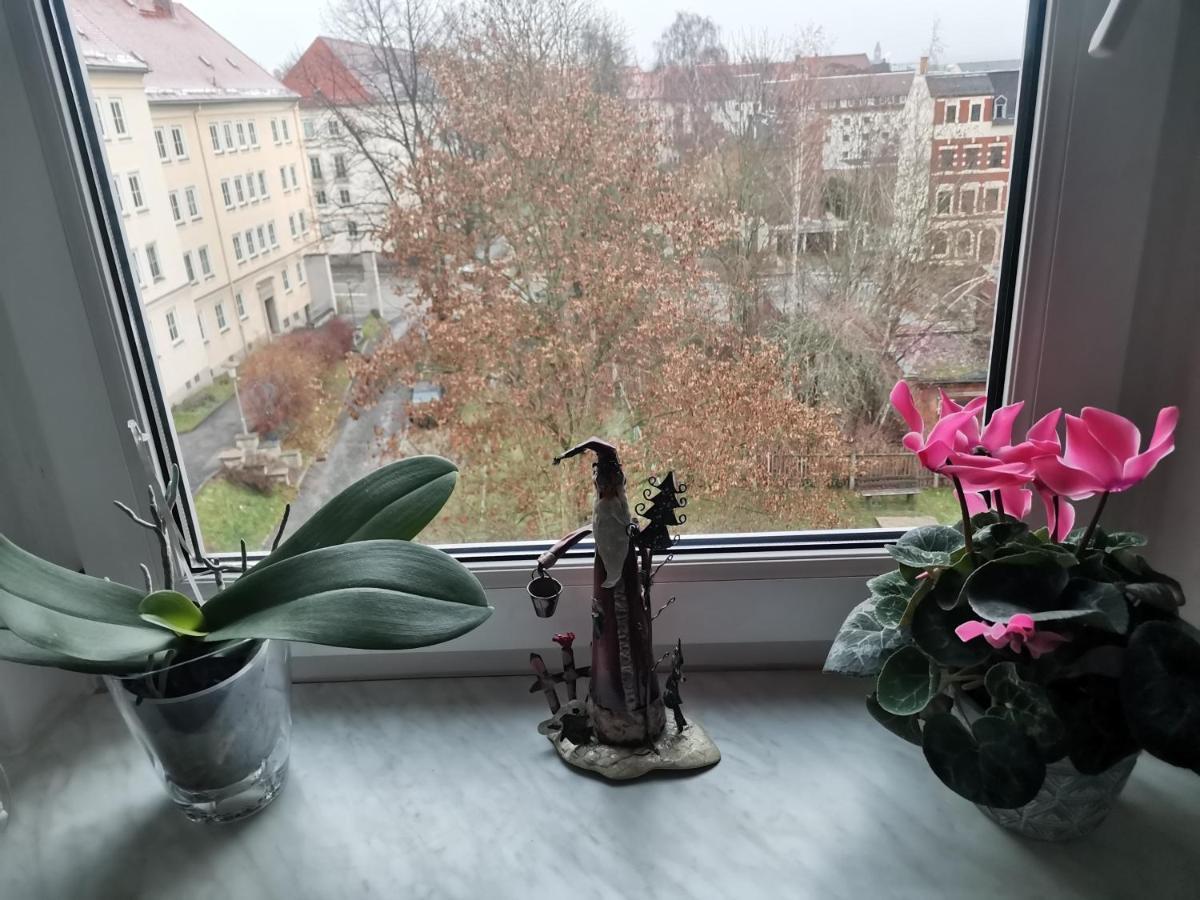 Martha Apartments - Wohnen Auf Hohem Niveau Plauen Ngoại thất bức ảnh